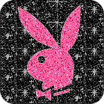playboy-bunny-black-8.gif